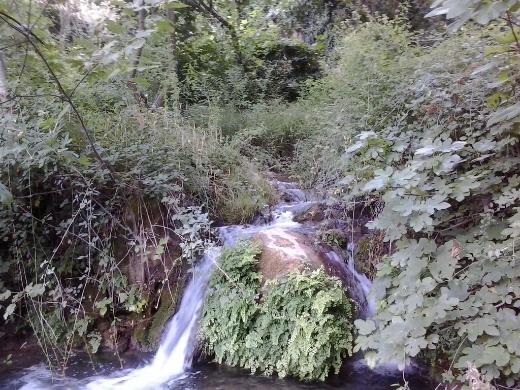 Alojamiento Vacacional Inma Villa Cazorla Exterior foto